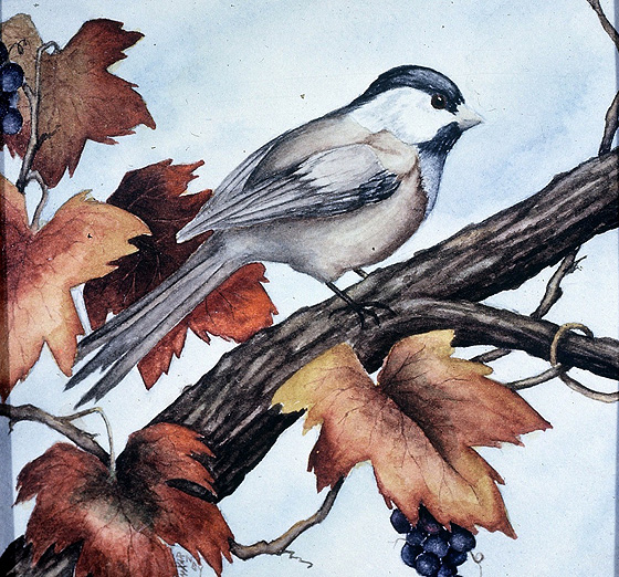 Watercolor Bird