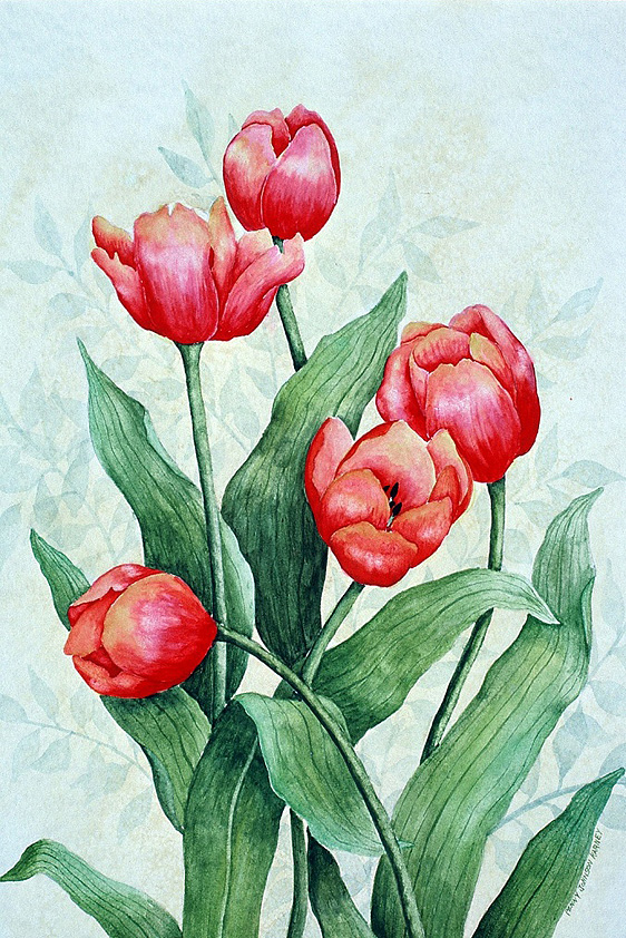 Watercolor Tulips
